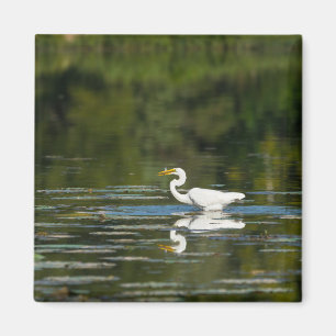 Egret Fish Feast Magnet