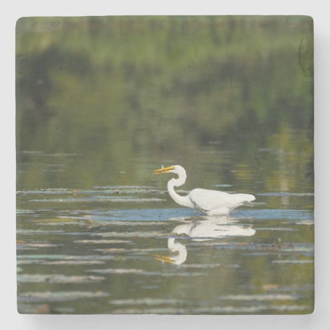 Egret Fish Feast Stone Coaster (Front)