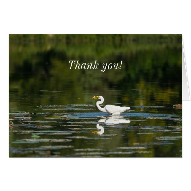 Egret Fish Feast Thank You Card (Front Horizontal)
