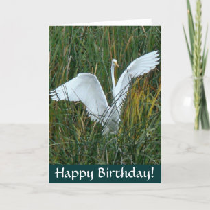 Egret Happy Birthday Card