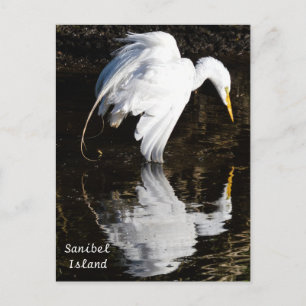 Egret in Bloom Postcard