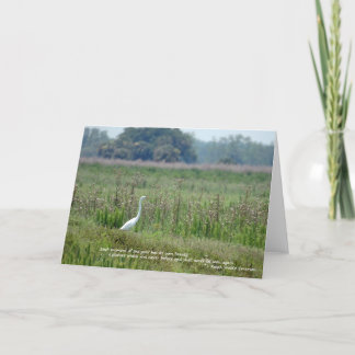 Egret in Field Of Flowers Card