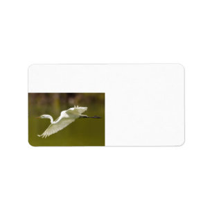 egret in flight label