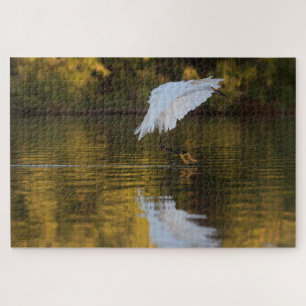 Egret in flight over Golden Pond Jigsaw Puzzle