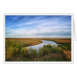 Egret Island, Matagorda, TX
