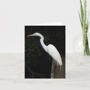 Egret note card