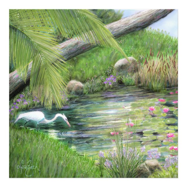 Egret on Pond   Photo Print (Front)