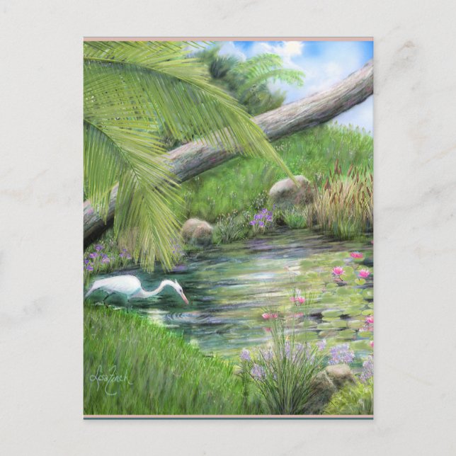 Egret on Pond  Postcard (Front)