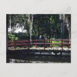 Egret on Red Bridge Postcard