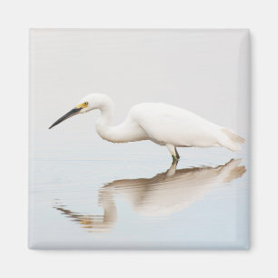 Egret on still pond magnet