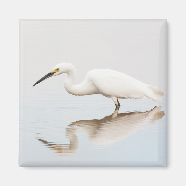 Egret on still pond magnet (Front)