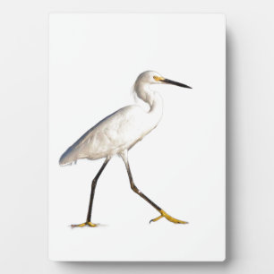 Egret on the Beach Plaque