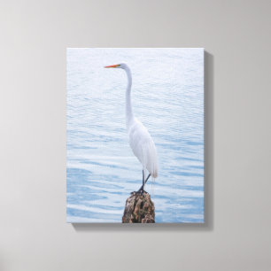 Egret Perch Canvas Print