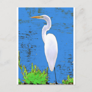 Egret Postcard