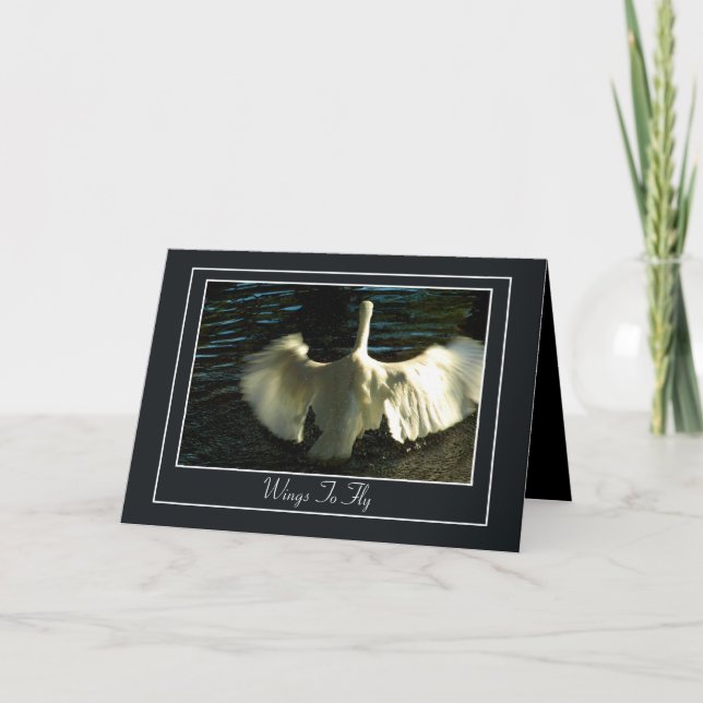 Egret Spreading Wings on Water Card (Front)