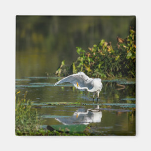 Egret Wing Exam Magnet