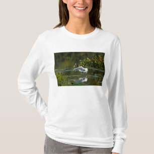 Egret Wing Exam T-Shirt