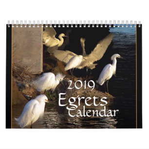 Egrets Birds Wildlife Animals 2019 Calendar