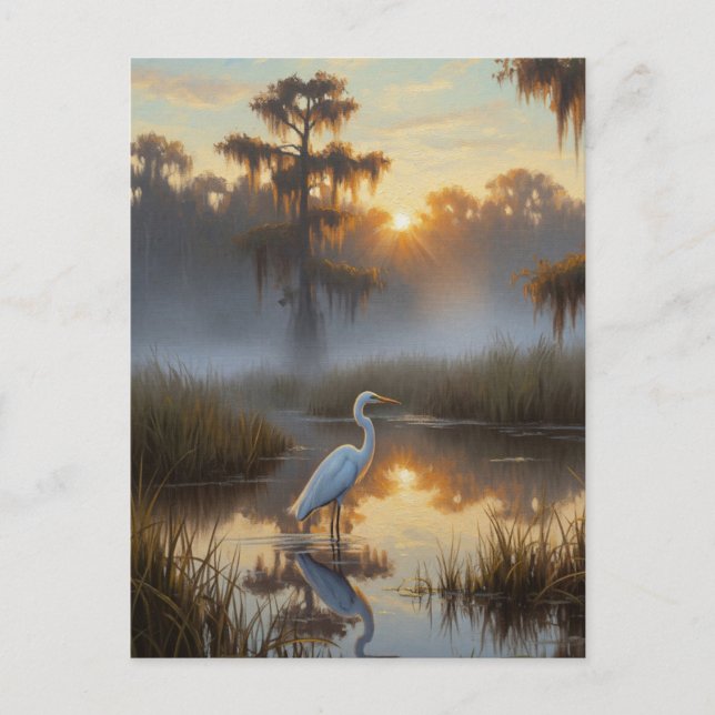 Egrets in Everglades National Park Morning Postcard (Front)