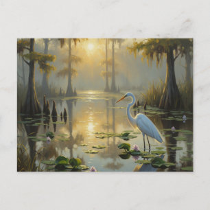 Egrets in Everglades National Park Morning Postcard