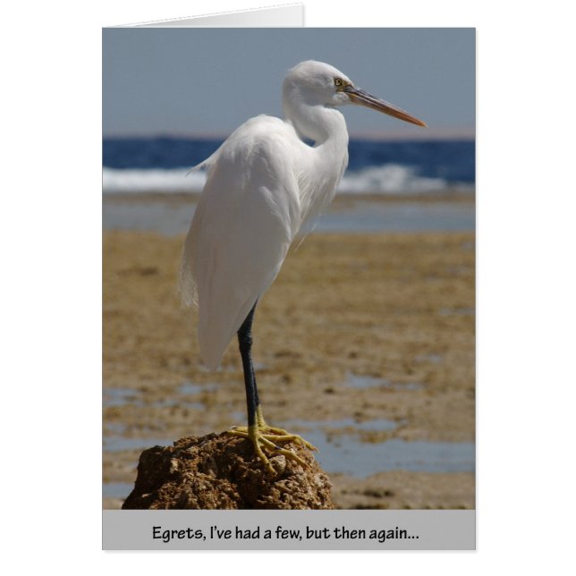 Egrets I've had a few (Front)