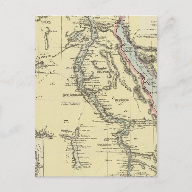 Egypt 13 postcard (Front)