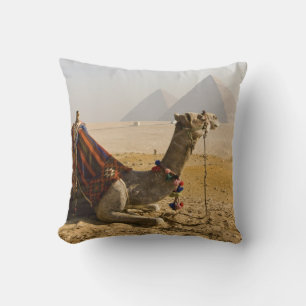 Egypt, Cairo. A lone camel Cushion