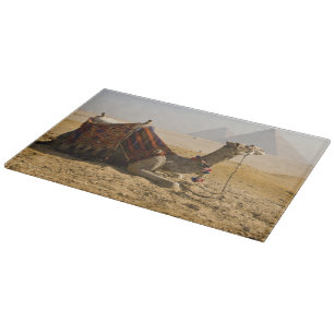 Egypt, Cairo. A lone camel Cutting Board