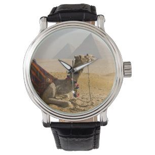 Egypt, Cairo. A lone camel Watch