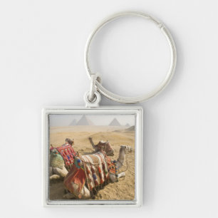 Egypt, Cairo. Resting camels Key Ring