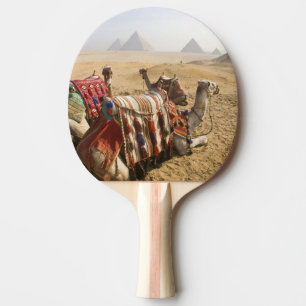 Egypt, Cairo. Resting camels Ping Pong Paddle