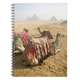 Egypt, Cairo. Resting camels Spiral Notebook