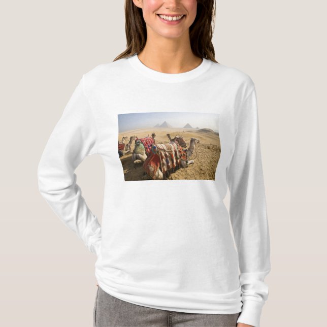 Egypt, Cairo. Resting camels T-Shirt (Front)