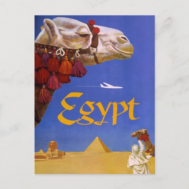 Egypt Camel Postcard (Front)