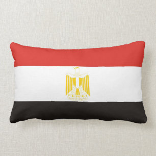 egypt country flag pillow