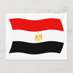 Egypt Flag Postcard