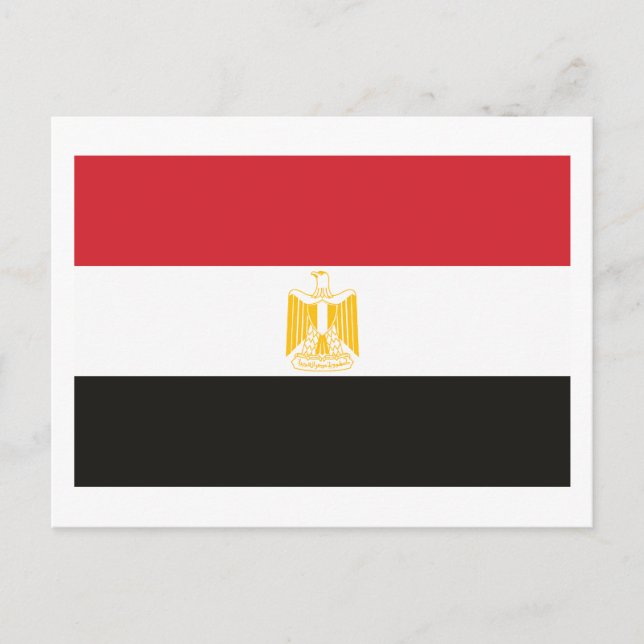 Egypt Flag Postcard (Front)