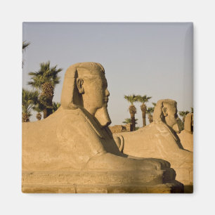 Egypt, Luxor. The Avenue of Sphinxes leads to Magnet