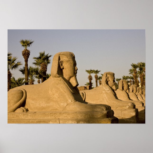 Egypt, Luxor. The Avenue of Sphinxes leads to Poster (Front)