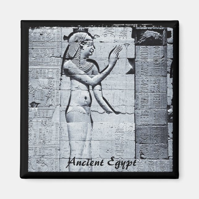 Egypt, Philae Temple, Hieroglyphs  (Fridge Magnet) Magnet (Front)