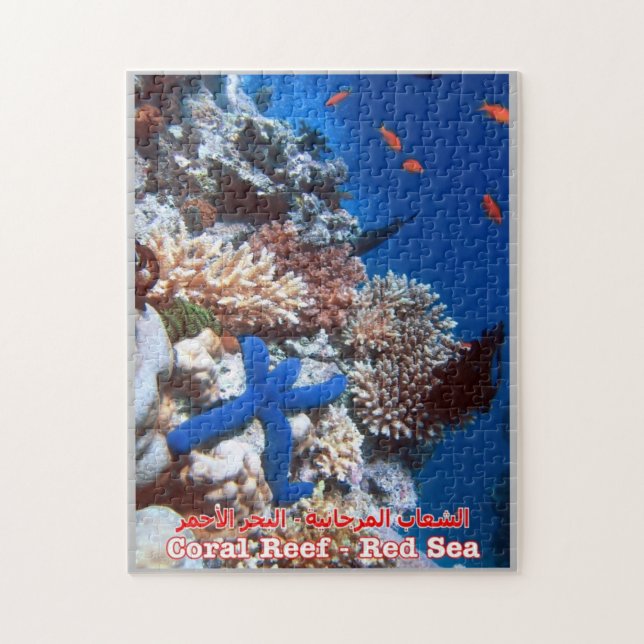 Egypt - Red Sea - Barrier Reef - Jigsaw Puzzle (Vertical)