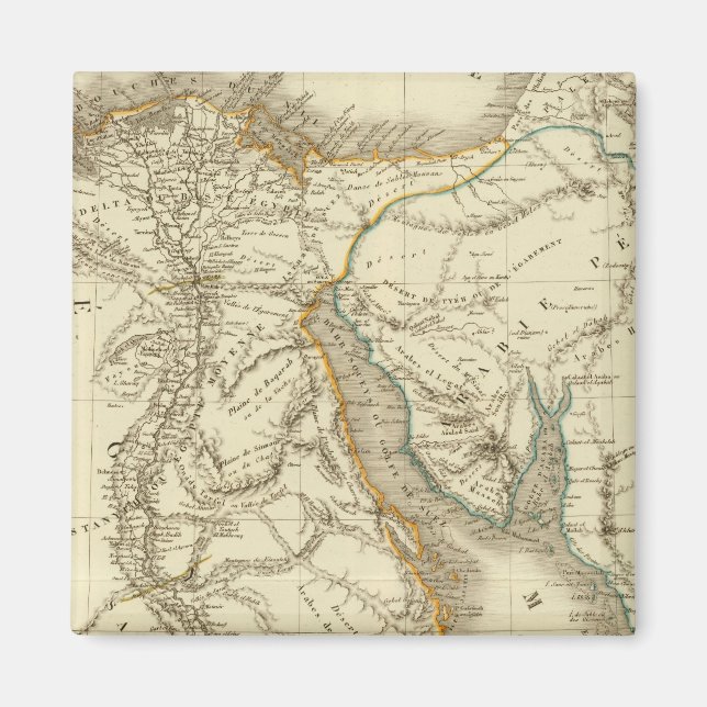 Egypt, Saudi Petree Magnet (Front)