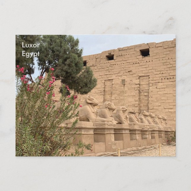 Egypt, Temple of Karnak, Luxor. Postcard (Front)