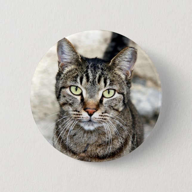 Egyptian Cat 6 Cm Round Badge (Front)