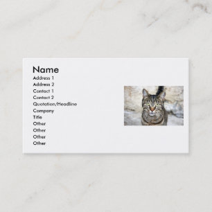 Egyptian Cat Business Card