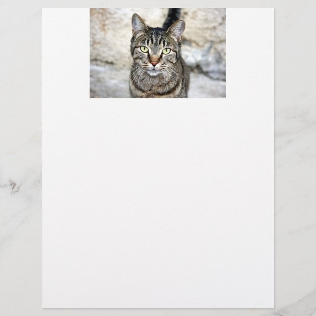 Egyptian Cat Letter Head (Front)
