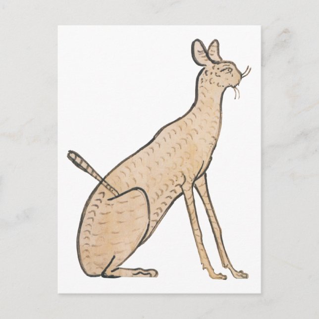 Egyptian Cat Postcard (Front)