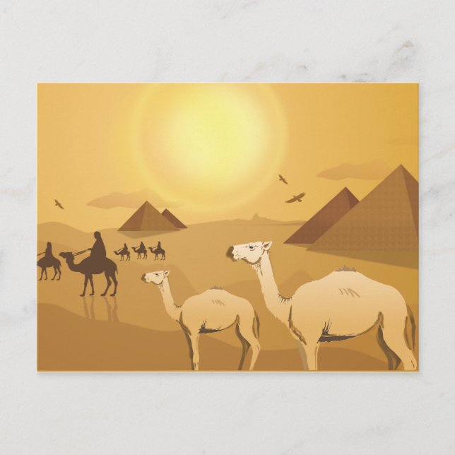 Egyptian desert camels postcard (Front)