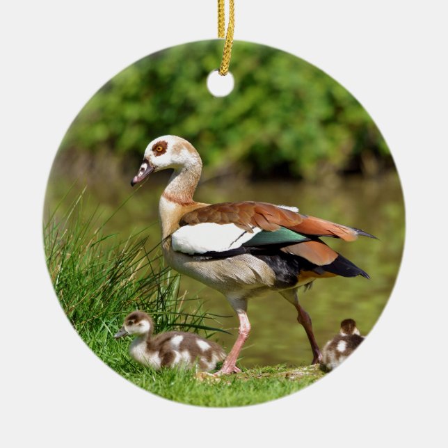 Egyptian Geese and chicks Ceramic Tree Decoration (Front)