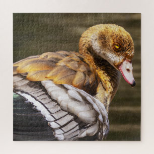 Egyptian Goose Close-Up Wildlife Bird Nature Art Jigsaw Puzzle